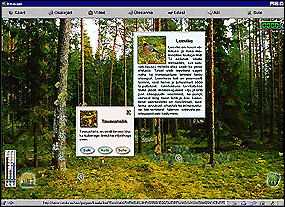 Programmiaken